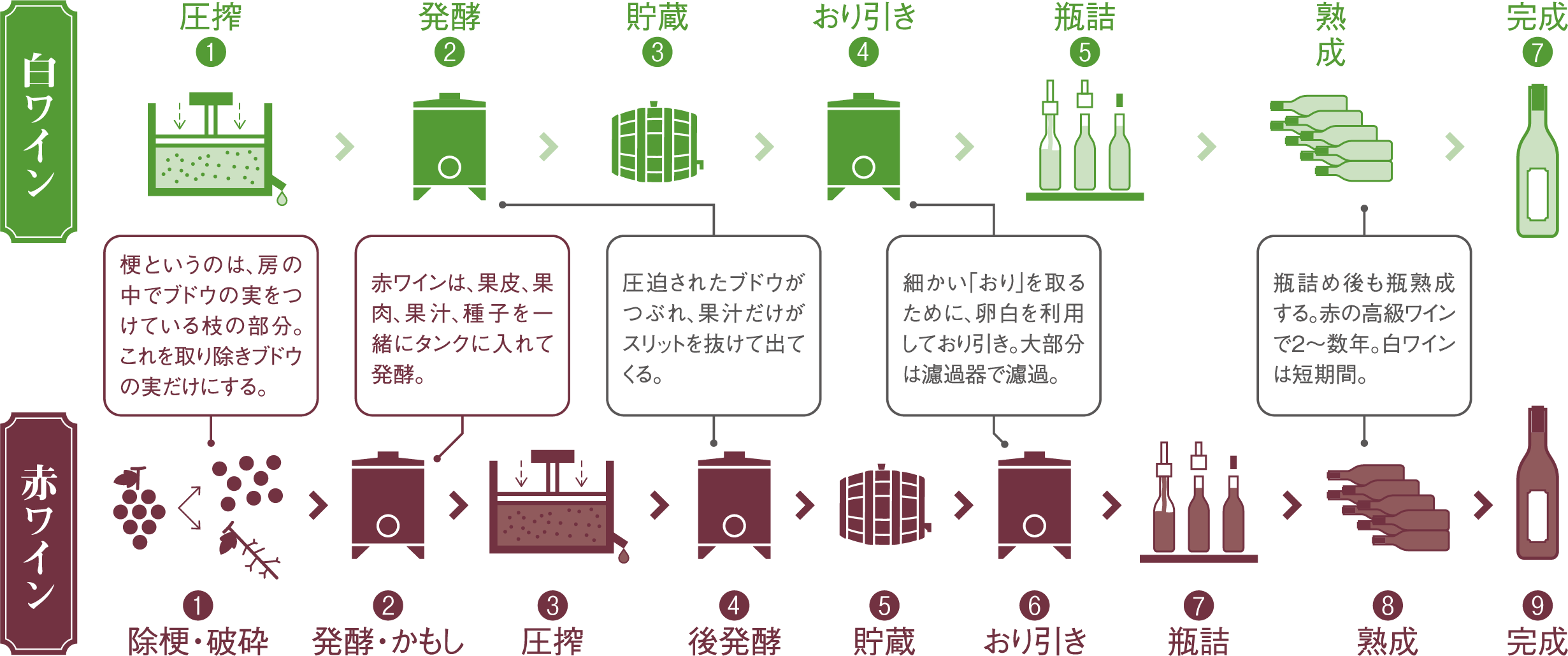 地元北条砂丘産葡萄